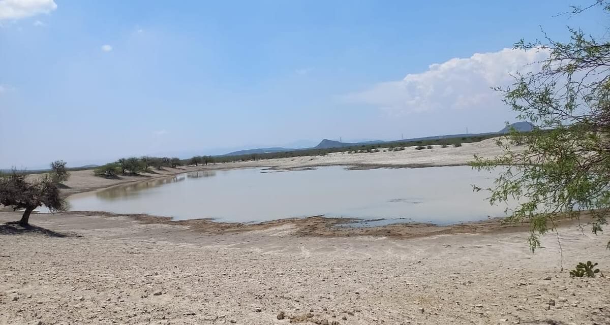 Bordos de abrevadero construidos por el Gobierno de la Capital mejoran la captación de agua de las primeras lluvias