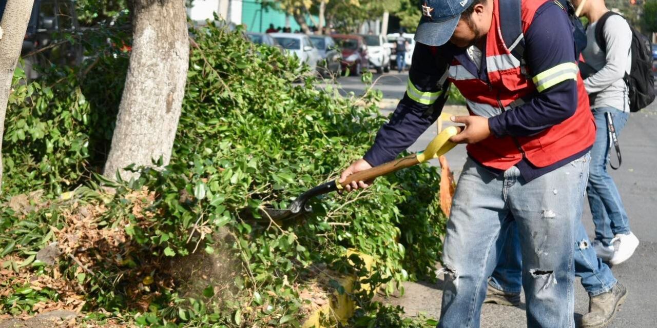 En el martes de Talacha, Gobierno Municipal y Ciudadanos unen esfuerzos para limpiar y mejorar avenida Zenón Fernández
