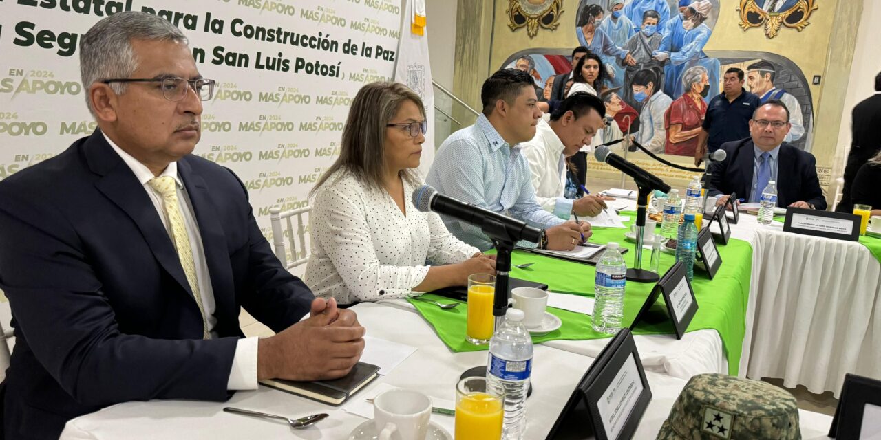 Estrategias de seguridad en soledad de GS en permanente fortalecimiento, con apoyo estatal