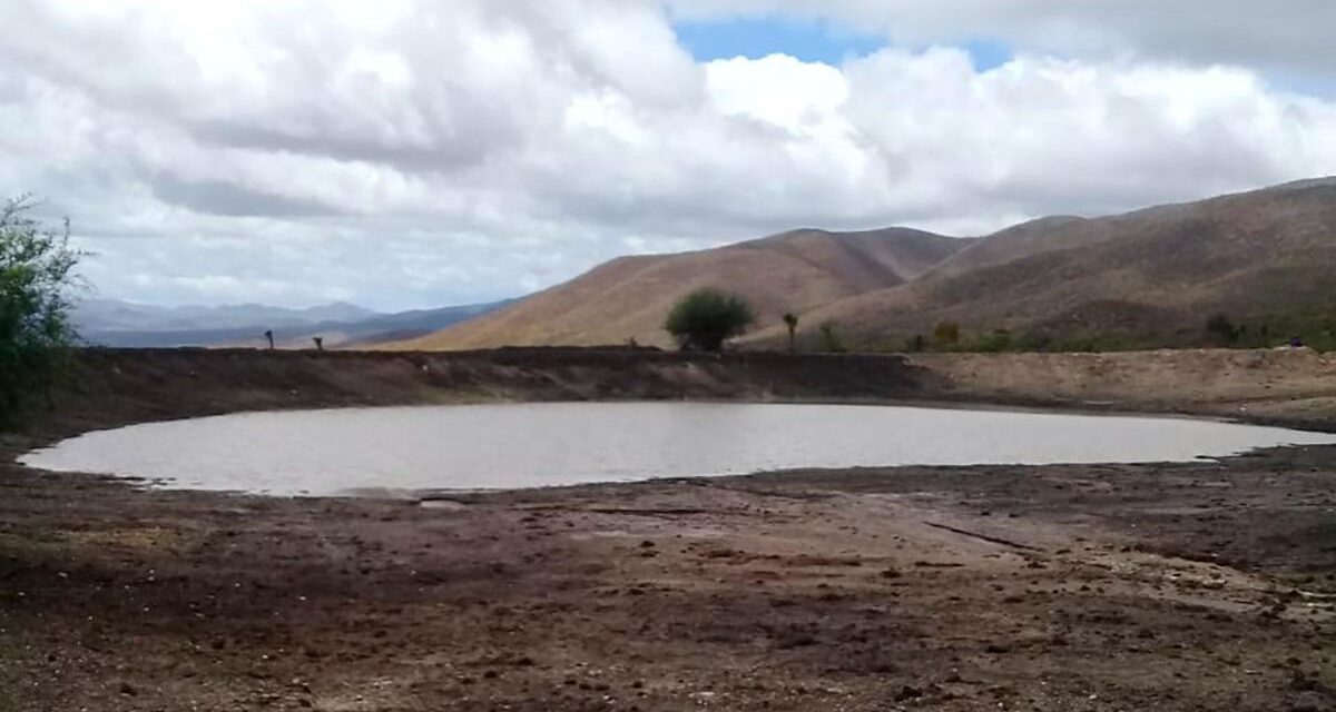 Bordos rehabilitados por el gobierno estatal se llenan con las lluvias