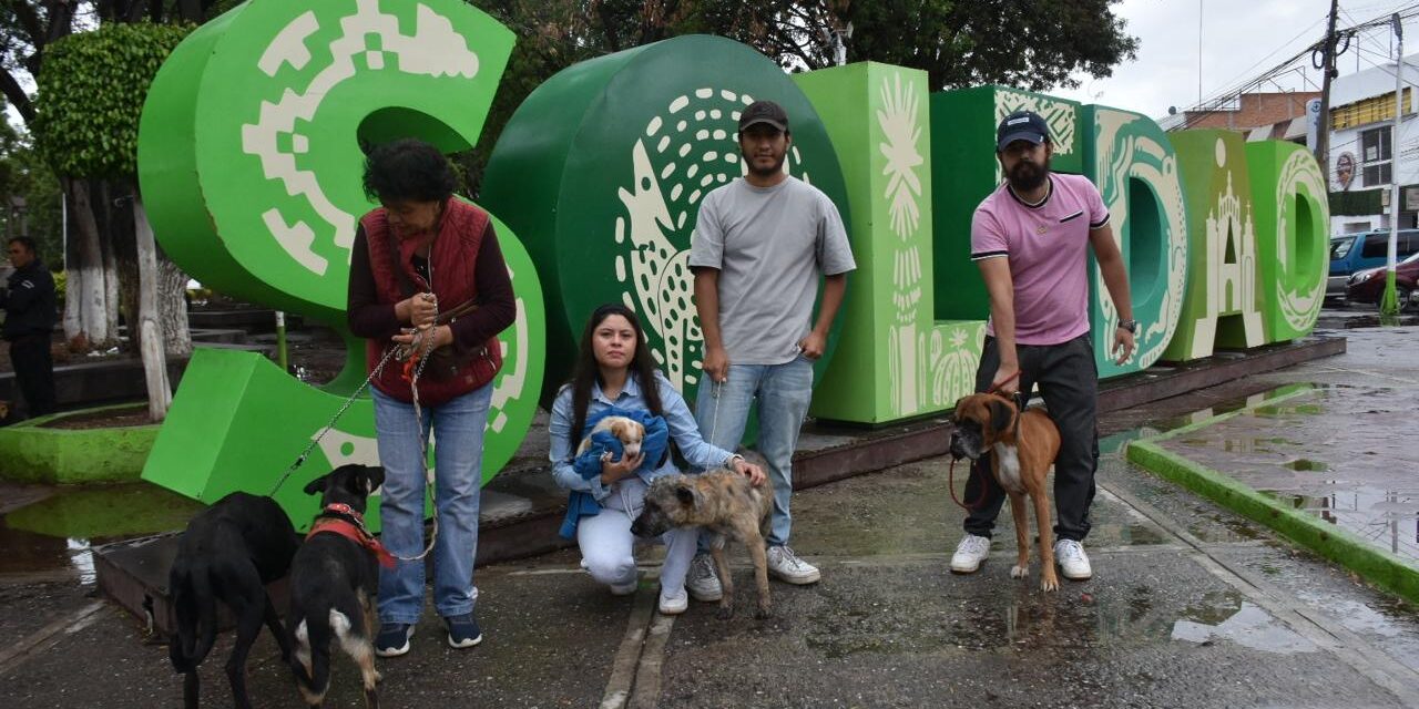 Soledad de GS promueve dignidad animal, con adopción canina y felina