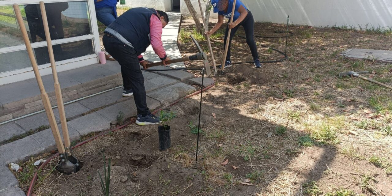 La reforestación impulsada por el Ayuntamiento de la Capital es respaldada por distintos sectores sociales