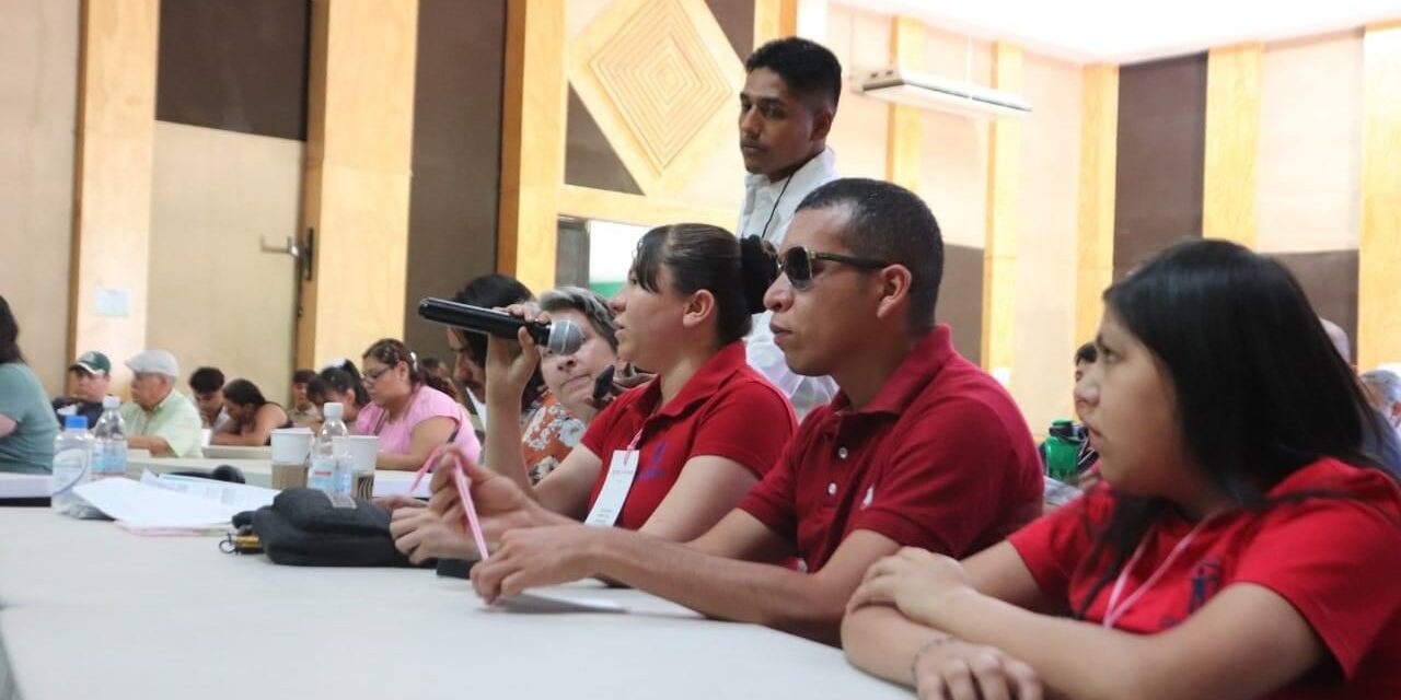 Consulta estatal a personas con discapacidad, en su etapa final: SEFIN