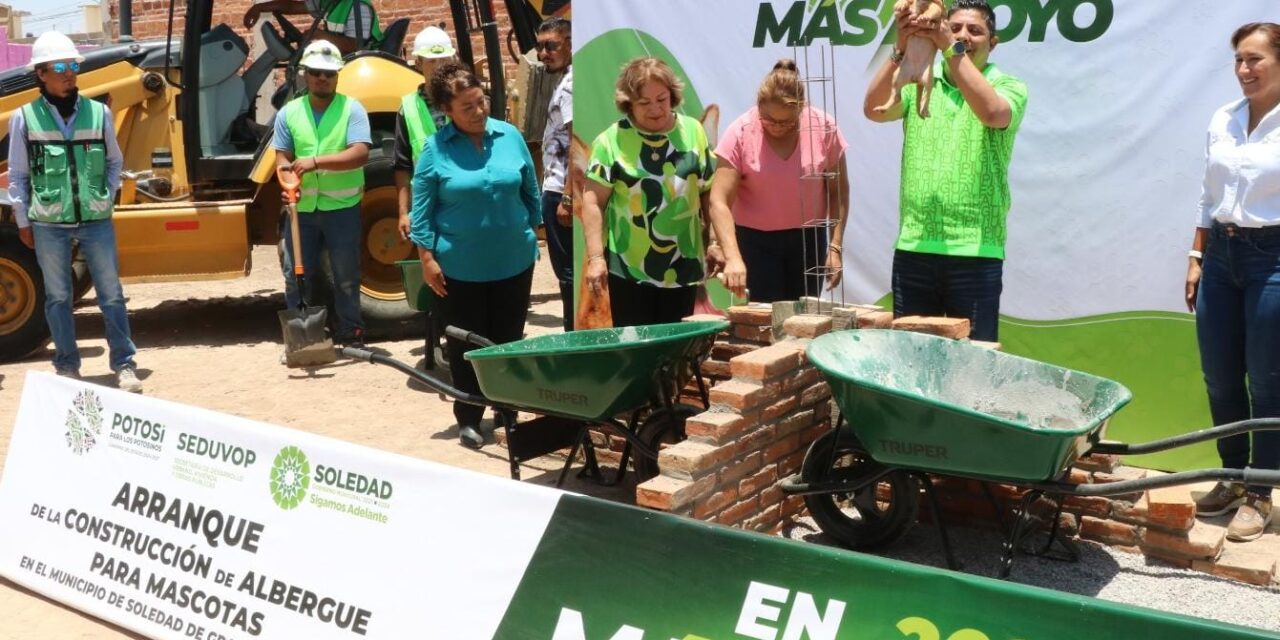Activismo a favor del bienestar animal reconoce acciones del ayuntamiento de Soledad