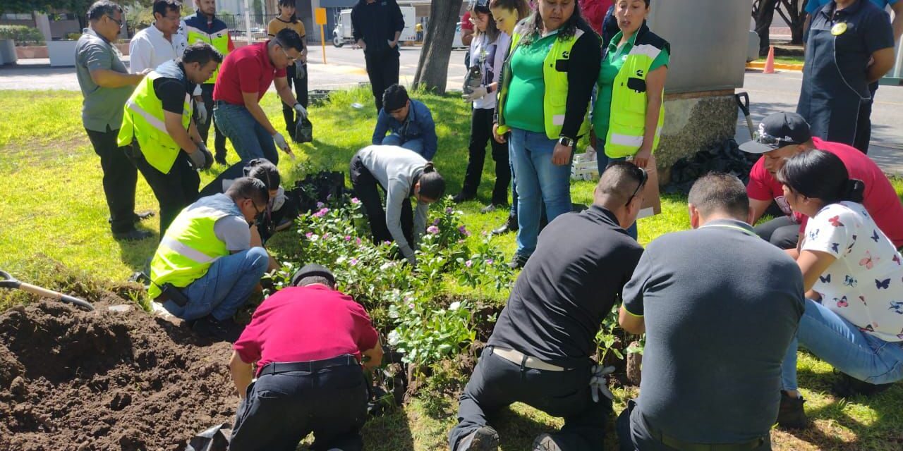 Con Pulmones Urbanos, Gobierno de la Capital continúa con la reforestación de SLP