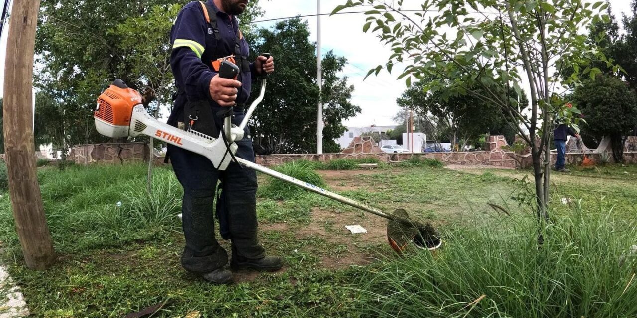 Trabajadores del Ayuntamiento intensifican labores de mantenimiento en la Avenida Salvador Nava