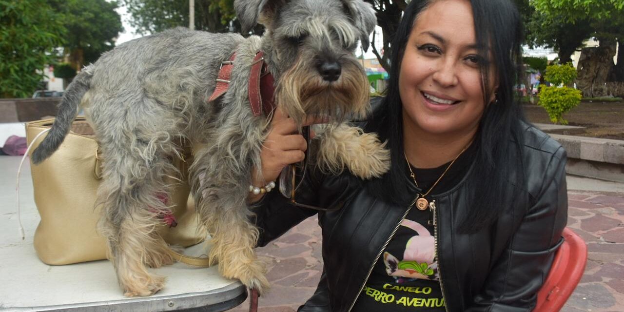 Inicia el Dog Fest en Soledad, evento dedicado a amantes y protectores de perros