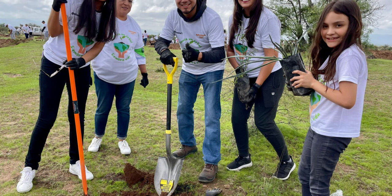 Gobierno estatal y sector privado reforestan sierra de San Miguelito