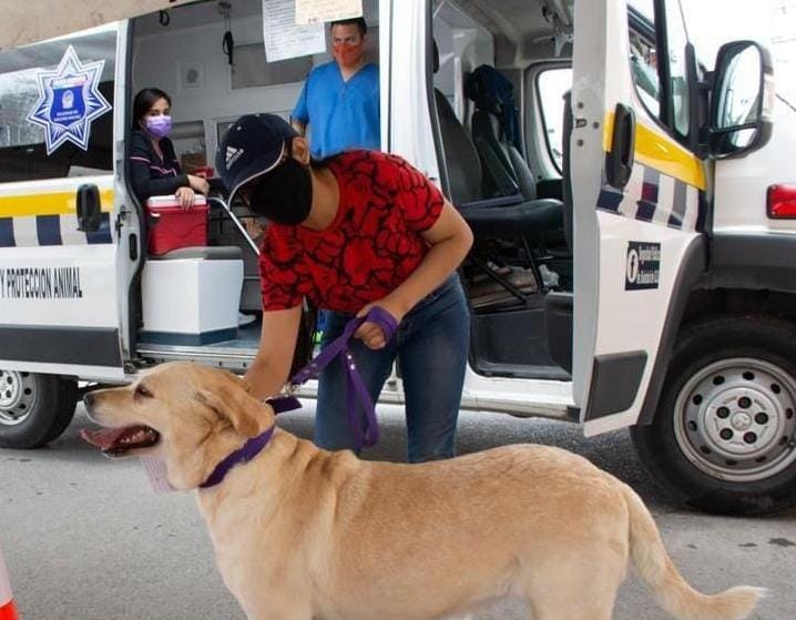 Más de 4 mil atenciones brindó Ambudog en Soledad, en los últimos 3 meses