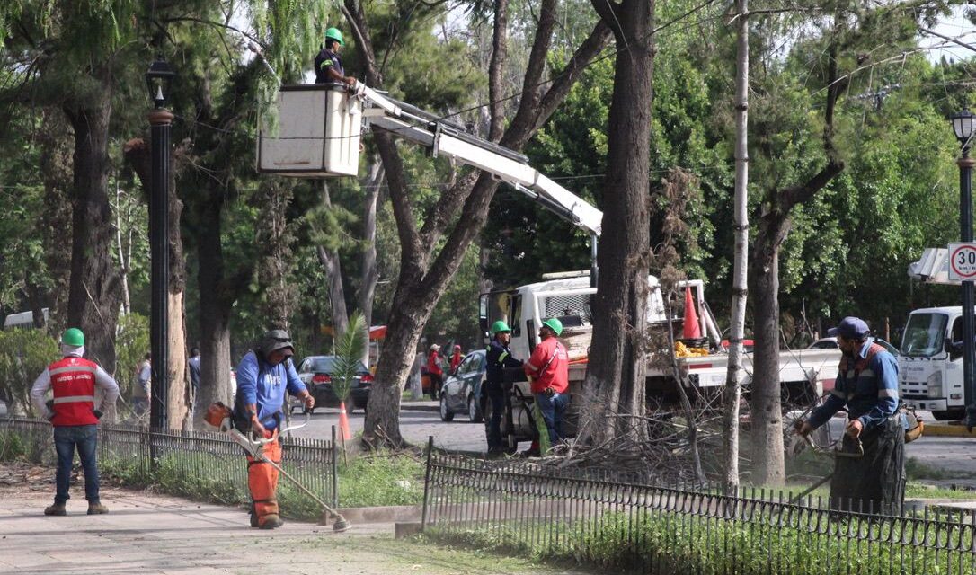 Alcalde Galindo encabezó trabajos de “Talacha” en Calzada de Guadalupe