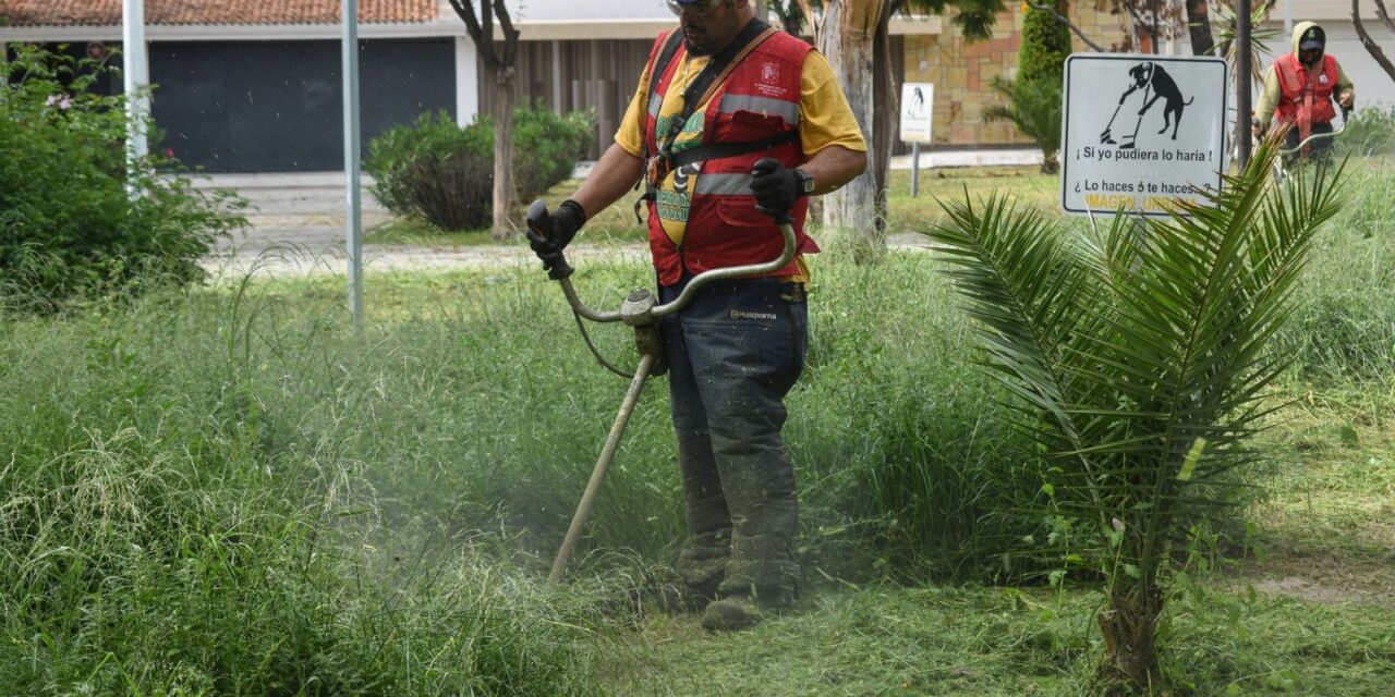 Ayuntamiento de la Capital, comprometido con el cuidado y embellecimiento de nuestra ciudad