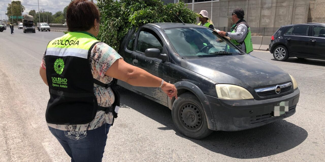Ecología de Soledad regula operación de recolectores particulares de residuos