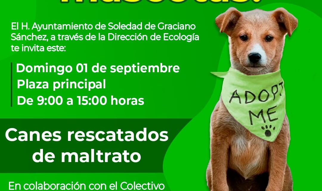 Ayuntamiento de Soledad invita a jornada de adopción de mascotas, este domingo