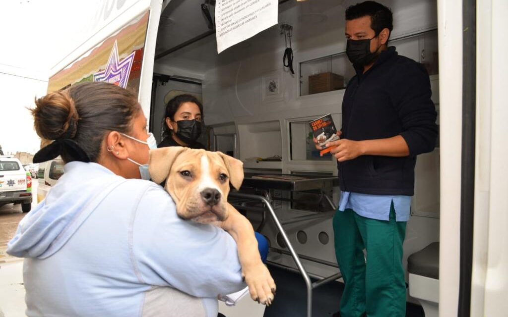 Soledad de GS se consolidó como un municipio líder en el bienestar animal