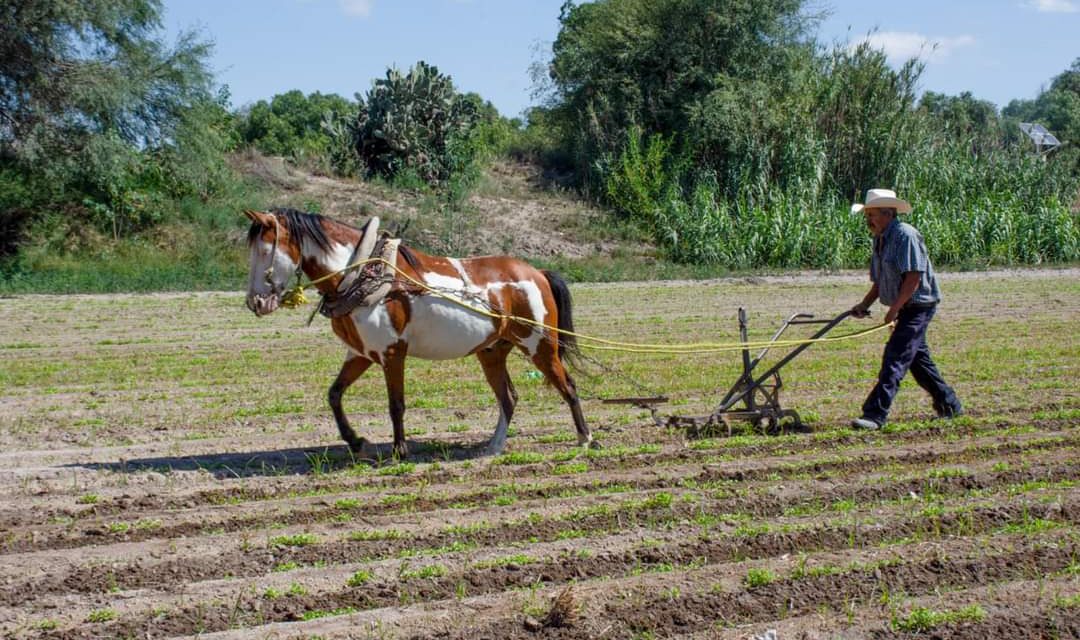 Alcalde de Soledad prepara apoyos fundamentales para el desarrollo agropecuario