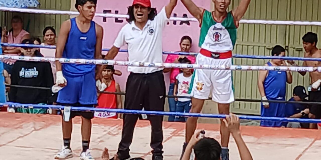 Concejo Municipal de Pozos invita a clases de boxeo