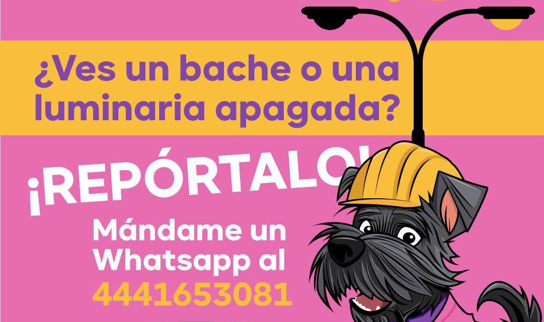 Invita Alcalde Enrique Galindo a la ciudadanía a reportar con Güicho las fallas de alumbrado y baches