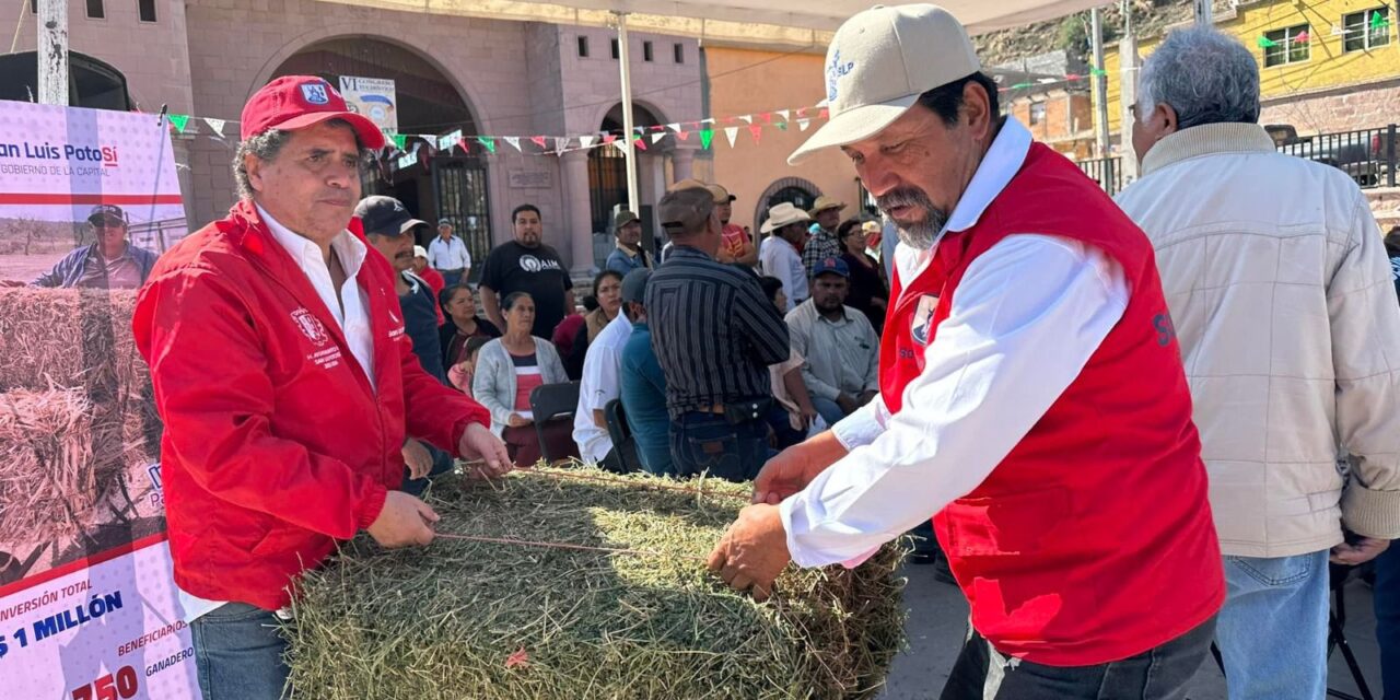Con 26 mil pacas de forraje el Gobierno Municipal impulsó la producción pecuaria en la zona rural del municipio