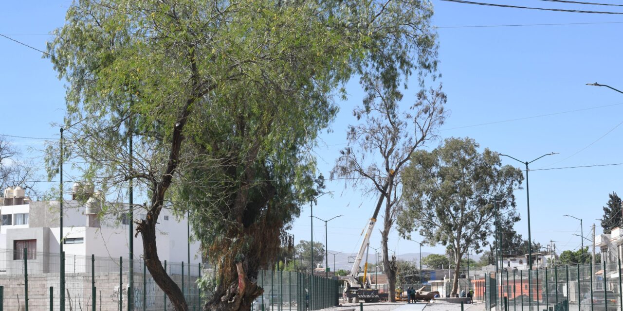 PARQUE LINEAL DE HOGARES POPULARES PAVÓN EN SOLEDAD PRESENTA 80 POR CIENTO DE AVANCE