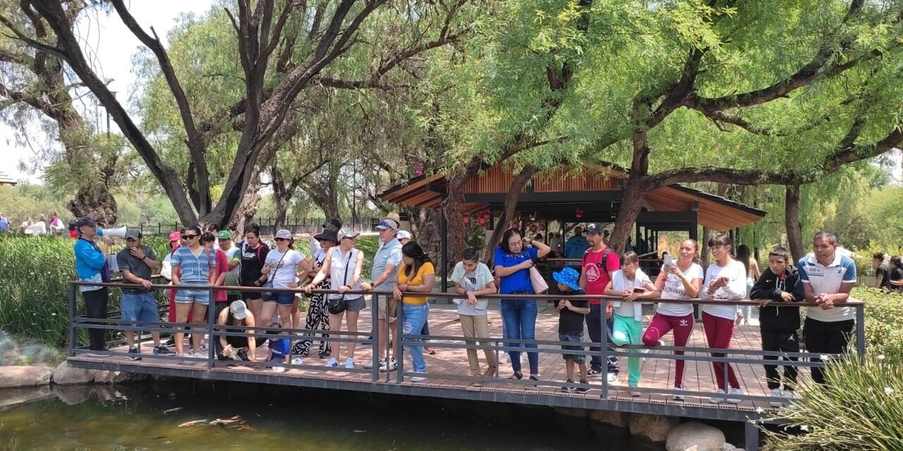 FIN DE SEMANA DE DIVERSIÓN Y DEPORTE EN LOS TANGAMANGA