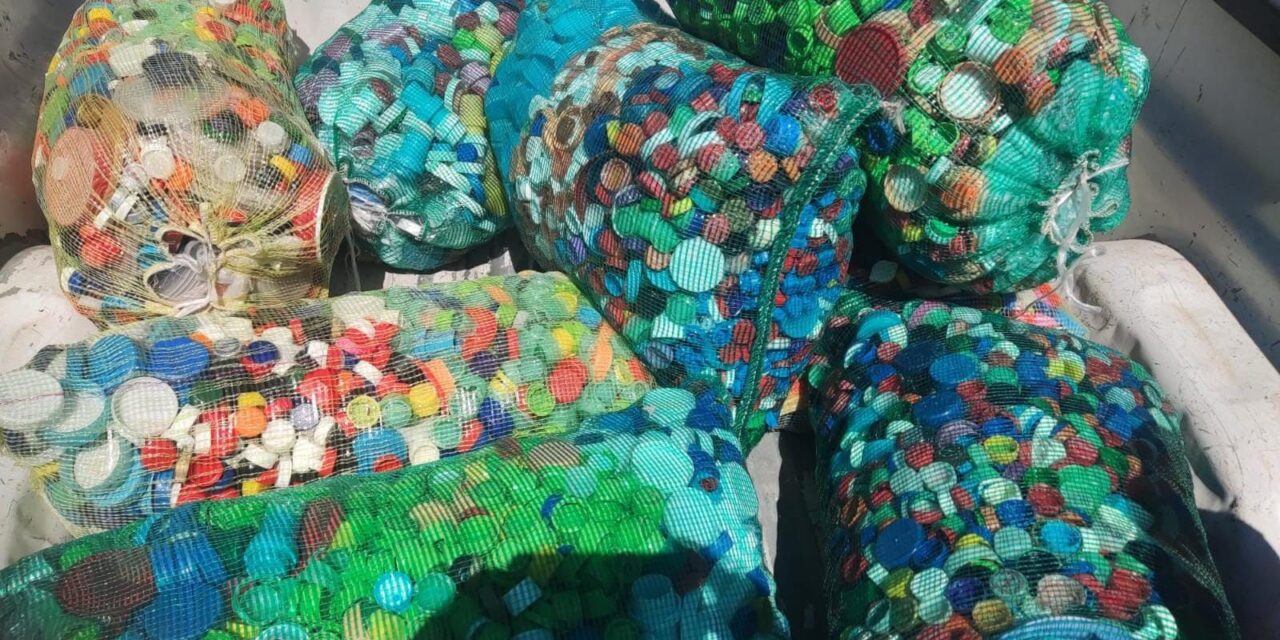 AYUNTAMIENTO DE SOLEDAD EFECTÚA NUEVA ENTREGA DE TAPITAS PLÁSTICAS EN FAVOR DE INFANTES CON CÁNCER