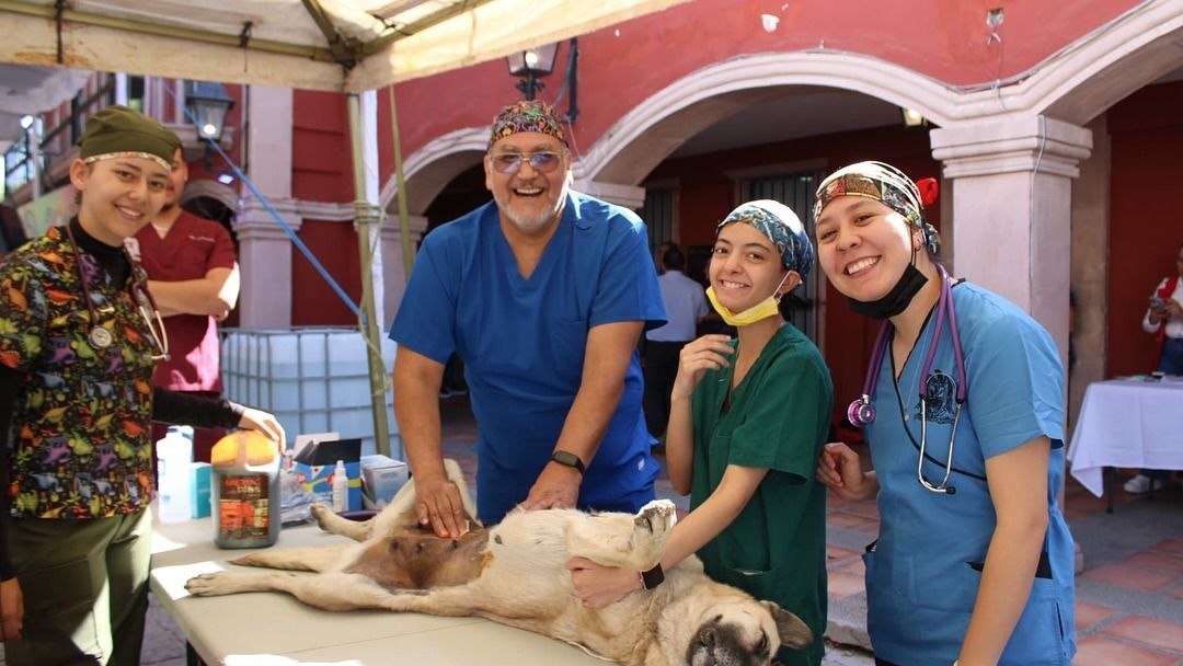 Participación ciudadana, fundamental en el programa Esterilizando Juntos: Regidora Maritza Jenith Vázquez