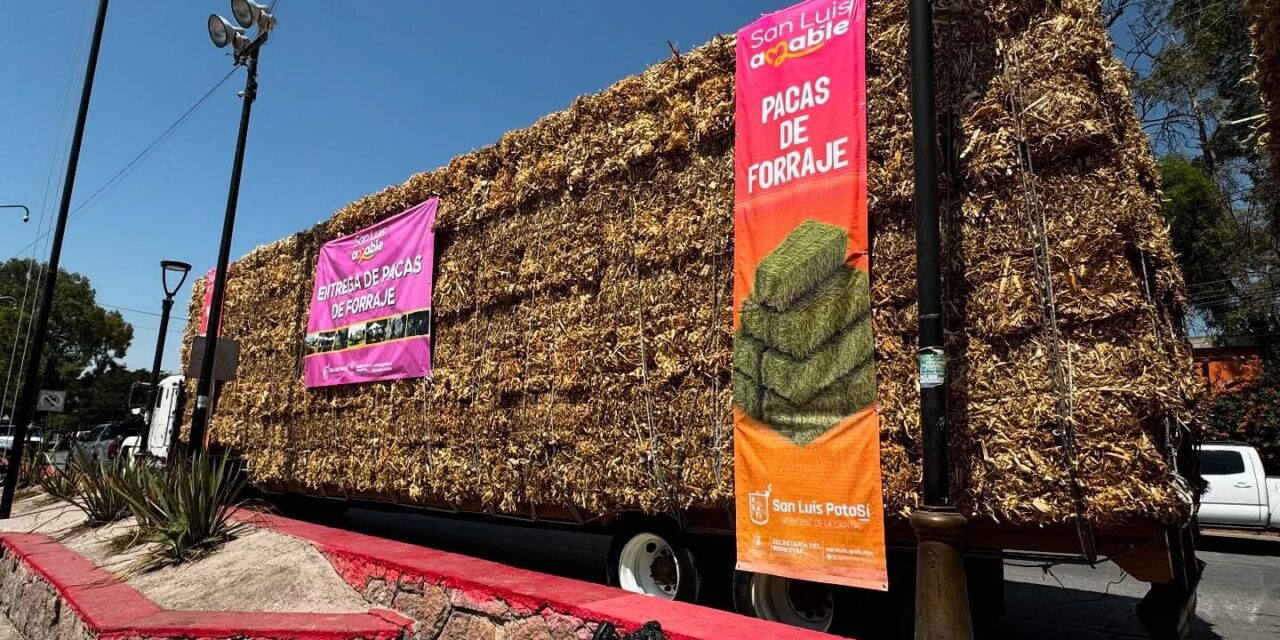 Concluye con éxito entrega de pacas de forraje a productores pecuarios de la zona rural