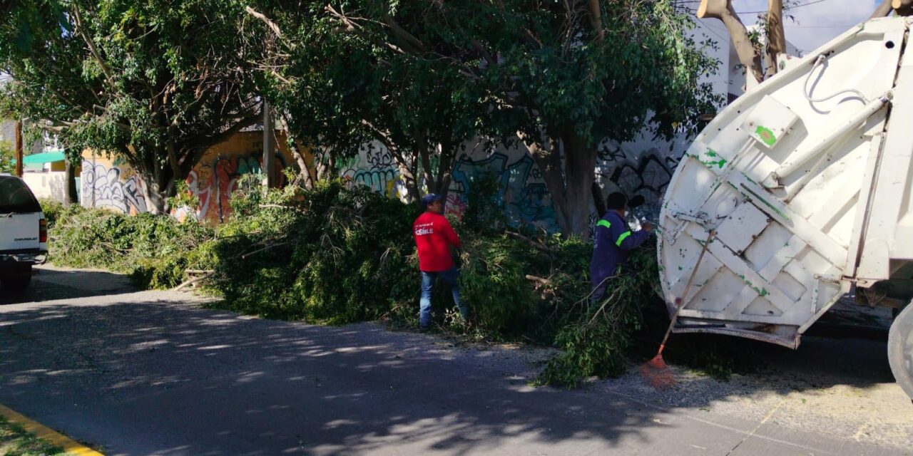 El Gobierno de la Capital embellece la ciudad con acciones de mantenimiento urbano