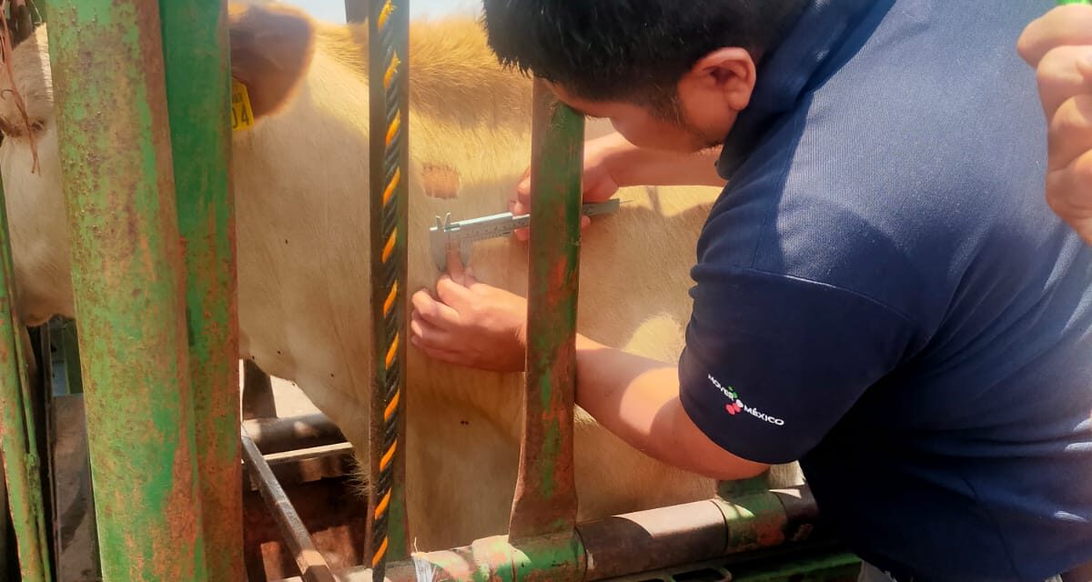 GANADEROS SON CAPACITADOS CONTRA PLAGAS Y ENFERMEDADES
