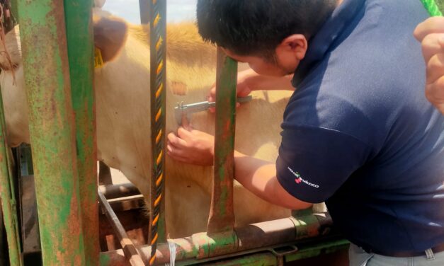GANADEROS SON CAPACITADOS CONTRA PLAGAS Y ENFERMEDADES