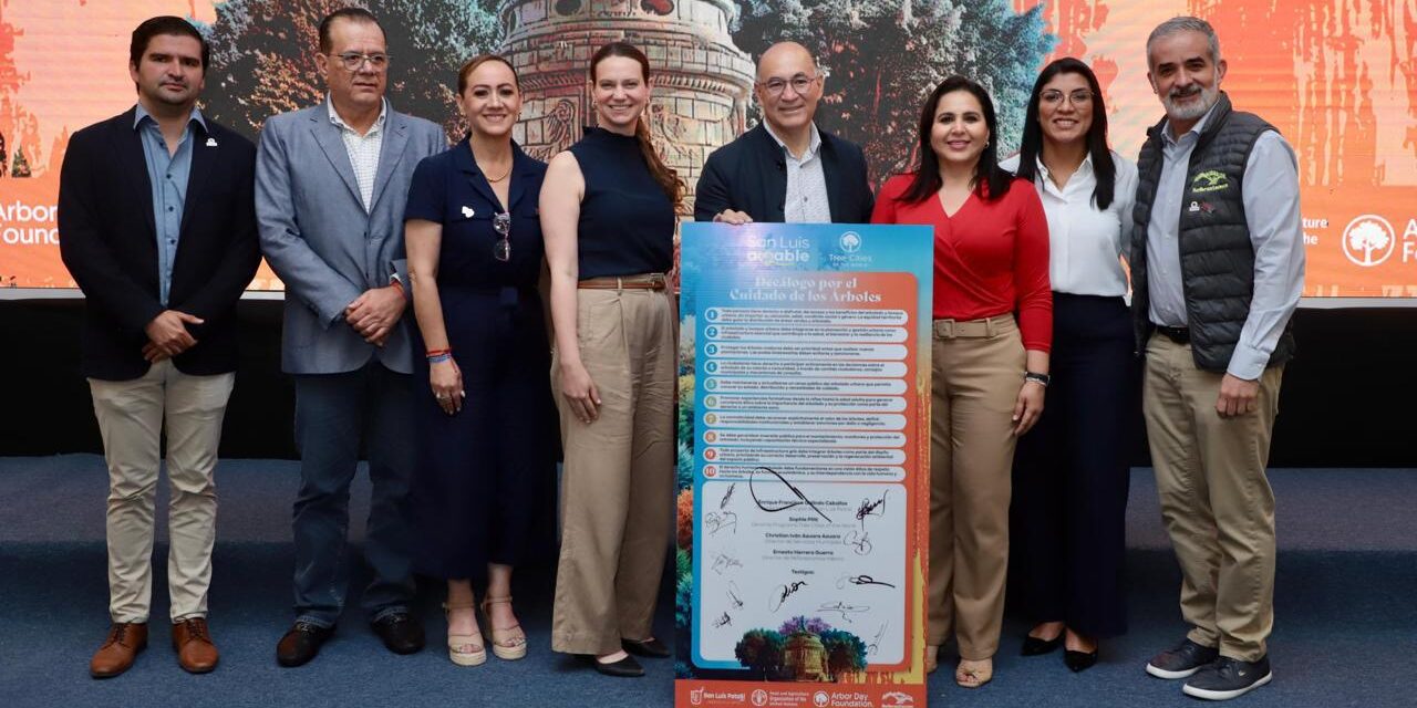 Desde San Luis Capital, impulso internacional para reconocer a los árboles como un derecho humano