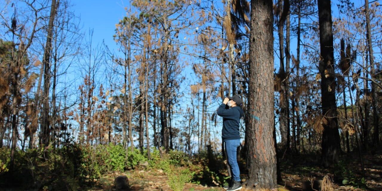 AVANZA SIN LÍMITES LA PROTECCIÓN AMBIENTAL EN SAN LUIS