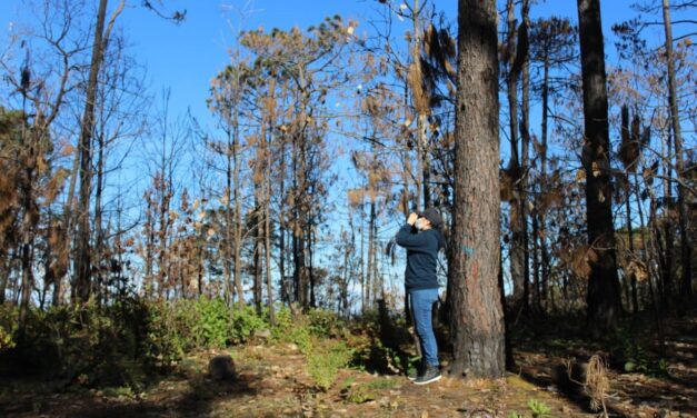 AVANZA SIN LÍMITES LA PROTECCIÓN AMBIENTAL EN SAN LUIS
