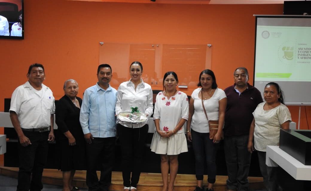 IMPULSAN ACCIONES EN FAVOR DE PUEBLOS ORIGINARIOS