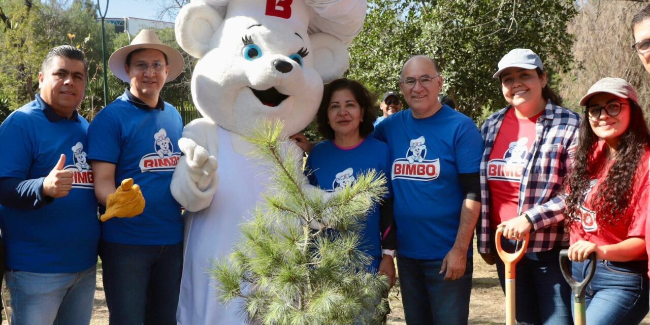 Unidos por un San Luis más arbolado: Ayuntamiento de SLP y Grupo Bimbo reforestan el parque Morales