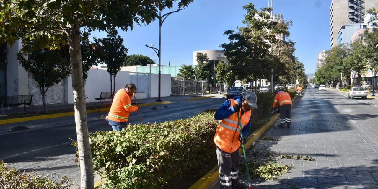 Embellecen espacios icónicos de la San Luis Capital con limpieza y mantenimiento