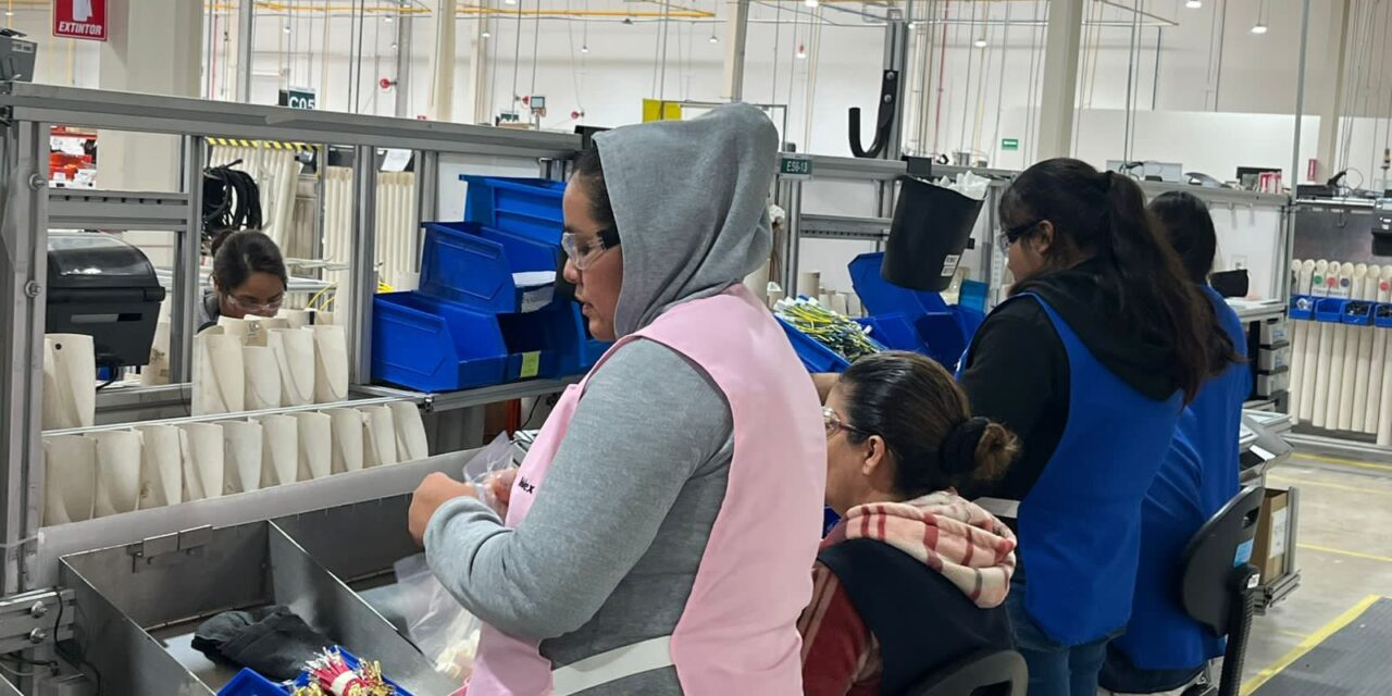 SAN LUIS FORTALECE INCLUSIÓN LABORAL SIN LÍMITES