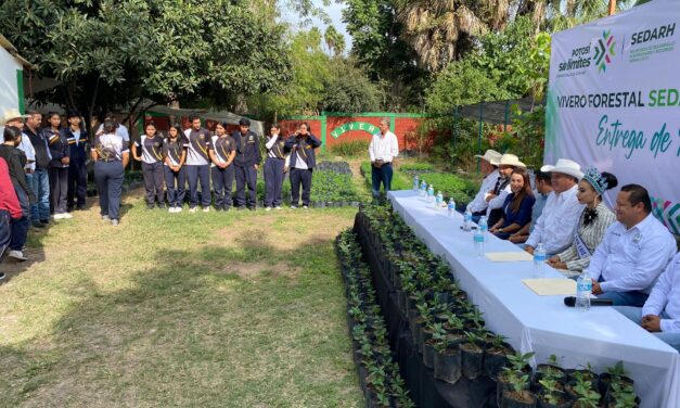 AVANZA PRODUCCIÓN DE CAFÉ DE ALTA CALIDAD EN LA HUASTECA