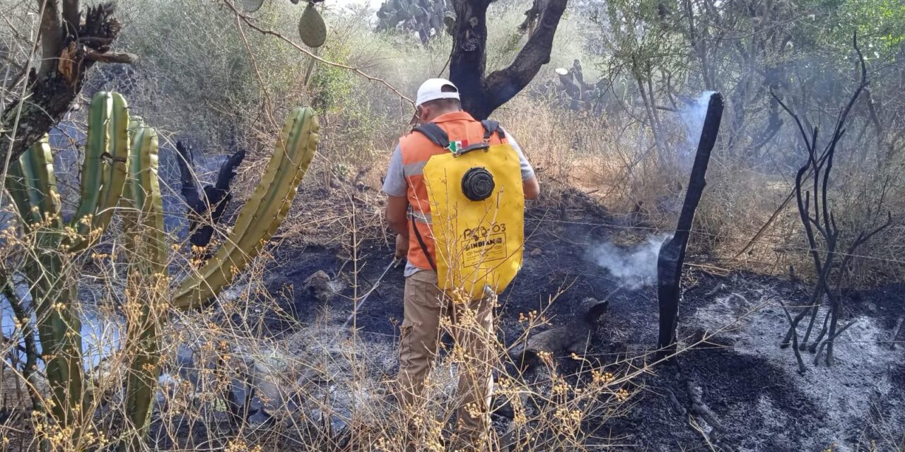 Atención preventiva y oportuna de la autoridad delegacional de Bocas ante incendios