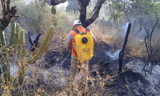 Atención preventiva y oportuna de la autoridad delegacional de Bocas ante incendios