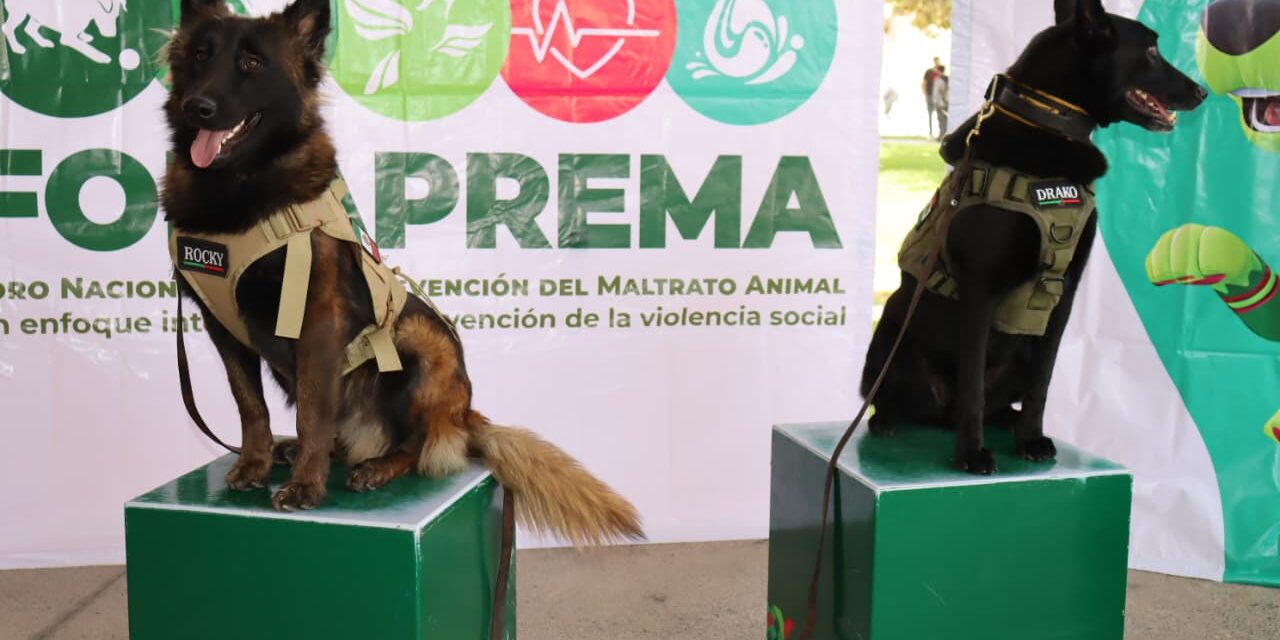 FORTALECEN LA PROTECCIÓN ANIMAL EN TODO EL ESTADO