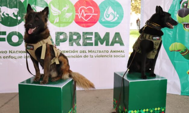 FORTALECEN LA PROTECCIÓN ANIMAL EN TODO EL ESTADO