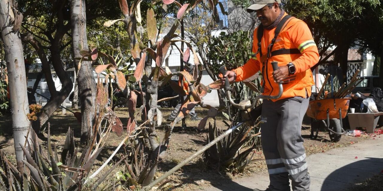 Gobierno Municipal de San Luis Capital rescata espacios públicos en el norte de la ciudad