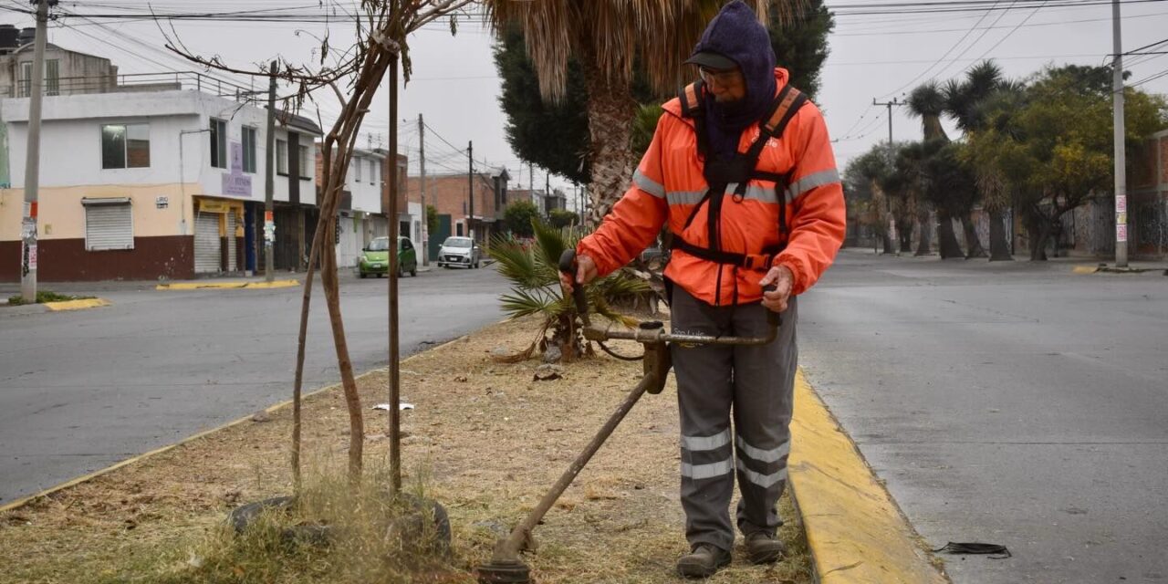 Refuerzan mantenimiento de áreas verdes en Avenida Observatorio y Jardín de San Miguelito