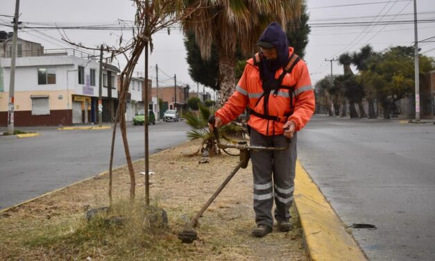 Refuerzan mantenimiento de áreas verdes en Avenida Observatorio y Jardín de San Miguelito