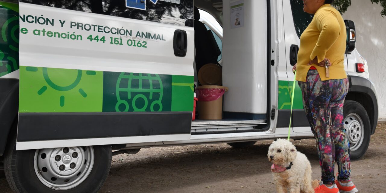 A TRAVÉS DE AMBUDOG, MUNICIPIO DE SOLEDAD ACERCA VACUNACIÓN ANTIRRÁBICA Y MÁS ATENCIÓN VETERINARIA