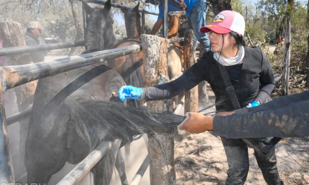 GOBIERNO ESTATAL ACTIVA CERCO SANITARIO CONTRA RABIA BOVINA