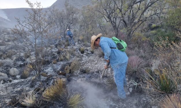 RESPONDE ESTADO CON ACCIONES OPORTUNAS ANTE INCENDIOS