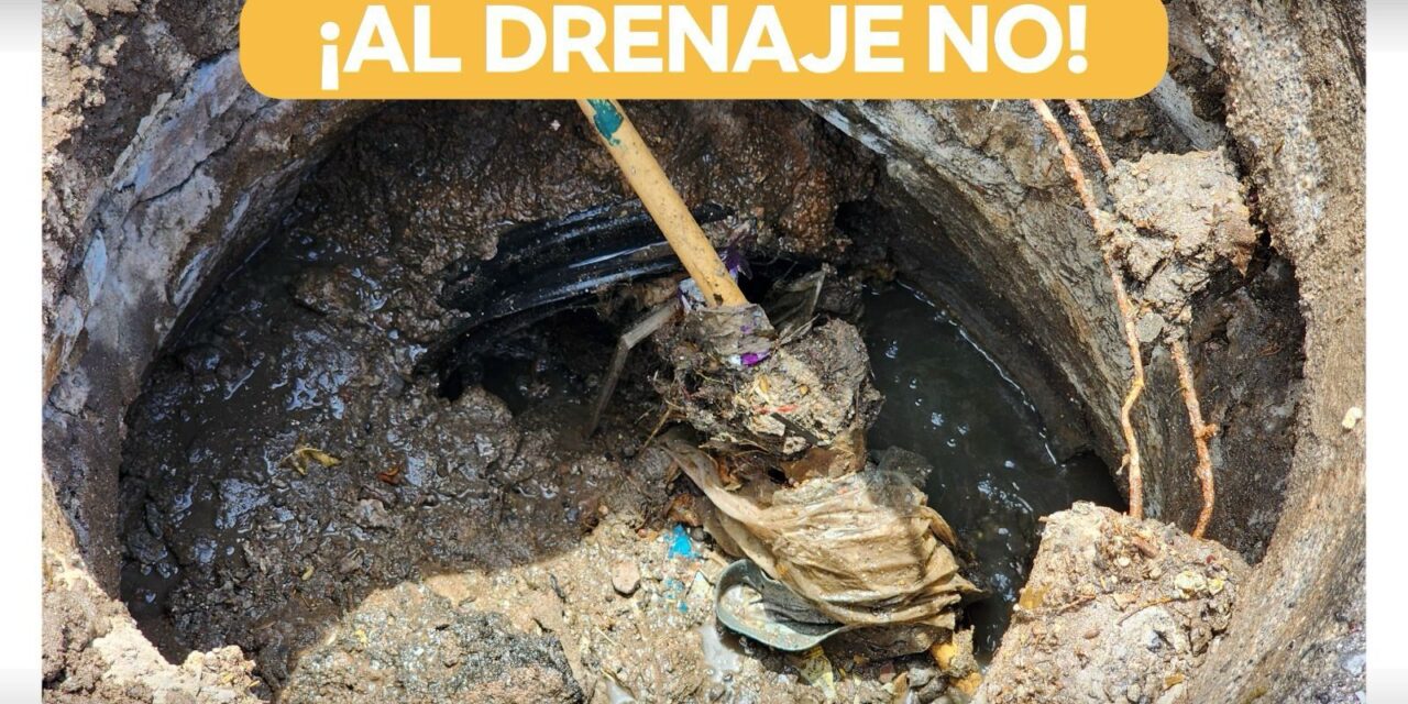 Interapas llama al manejo correcto de grasas mecánicas