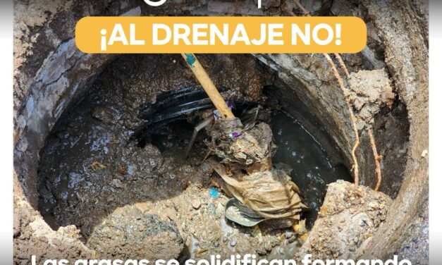 Interapas llama al manejo correcto de grasas mecánicas